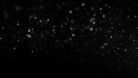 Natural Organic Dust Particles Float On Black Background. Dust In Motion. Stock Footage 86498417