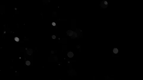 Natural Organic Dust Particles Float On Black Background. Dust In Motion. 库存影片 86498420