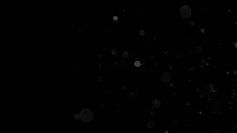 Natural Organic Dust Particles Float On Black Background. Dust In Motion. Stock-Footage 86499569