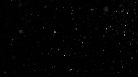 Natural Organic Dust Particles Float On Black Background. Dust In Motion. Stock Footage 86499585