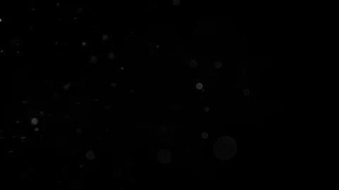 Natural Organic Dust Particles Float On Black Background. Dust In Motion. Stock Footage 86499609