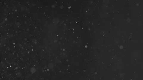 Natural Organic Dust Particles Float On Black Background. Dust In Motion. Stock Footage 86499614