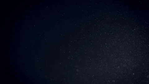 Natural Organic Dust Particles Float On Black Background. Dust In Motion. Vidéo 86559072