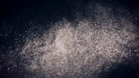 Natural Organic Dust Particles Float On Black Background. Dust In Motion. Vidéo 86559117