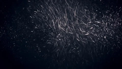 Natural Organic Dust Particles Float On Black Background. Dust In Motion. Vidéo 86559158