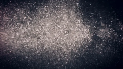 Natural Organic Dust Particles Float On Black Background. Dust In Motion. Vidéo 86559159
