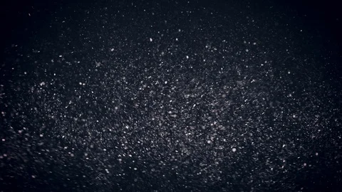 Natural Organic Dust Particles Float On Black Background. Dust In Motion. Vidéo 86559184