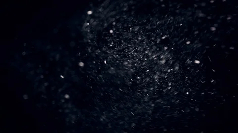 Natural Organic Dust Particles Float On Black Background. Dust In Motion. Vidéo 86559194