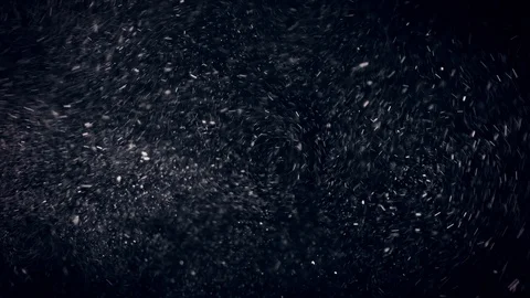 Natural Organic Dust Particles Float On Black Background. Dust In Motion. Vidéo 86559203