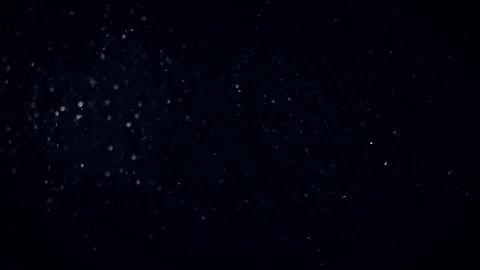 Natural Organic Dust Particles Float On Black Background. Dust In Motion. Vidéo 86559249