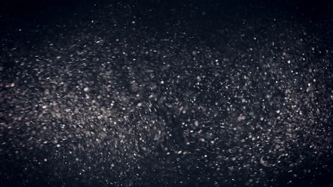 Natural Organic Dust Particles Float On Black Background. Dust In Motion. Vidéo 86559261