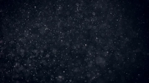 Natural Organic Dust Particles Float On Black Background. Dust In Motion. Vidéo 86559286
