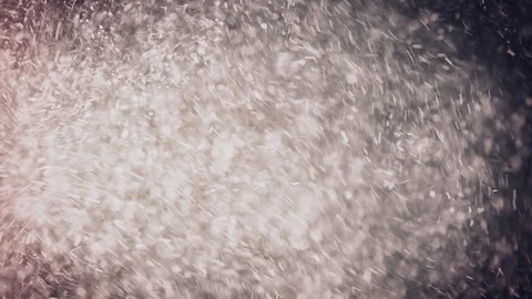 Natural Organic Dust Particles Float On Black Background. Dust In Motion. Vidéo 86559363