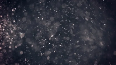 Natural Organic Dust Particles Float On Black Background. Dust In Motion. Vidéo 86559403