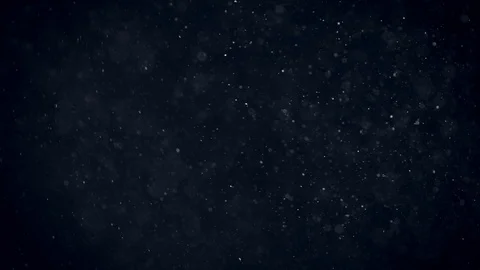Natural Organic Dust Particles Float On Black Background. Dust In Motion. Vidéo 86559420