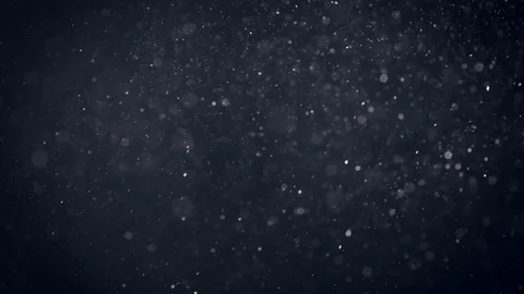 Natural Organic Dust Particles Float On Black Background. Dust In Motion. Vidéo 86559423