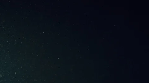 Natural Organic Dust Particles Float On Black Background. Dust In Motion. Vidéo 86782265