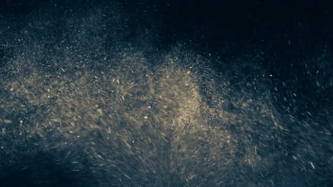Natural Organic Dust Particles Float On Black Background. Dust In Motion. Vidéo 86782301
