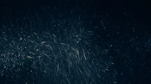 Natural Organic Dust Particles Float On Black Background. Dust In Motion. Vidéo 86782325