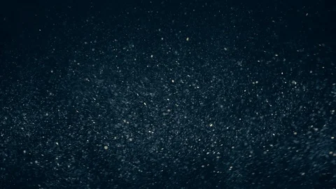 Natural Organic Dust Particles Float On Black Background. Dust In Motion. Vidéo 86782339
