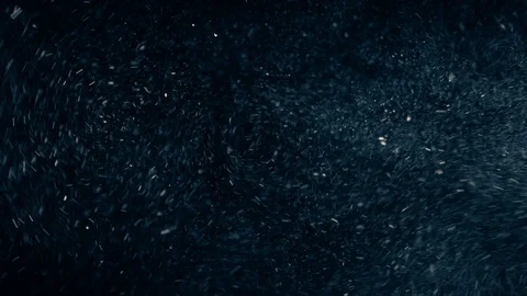 Natural Organic Dust Particles Float On Black Background. Dust In Motion. Vidéo 86782365
