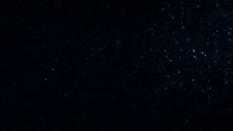 Natural Organic Dust Particles Float On Black Background. Dust In Motion. Vidéo 86782397