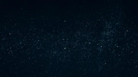 Natural Organic Dust Particles Float On Black Background. Dust In Motion. Vidéo 86782439