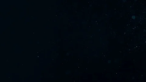 Natural Organic Dust Particles Float On Black Background. Dust In Motion. Vidéo 86782471