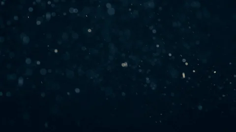 Natural Organic Dust Particles Float On Black Background. Dust In Motion. Vidéo 86782590