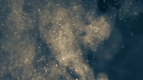 Natural Organic Dust Particles Float On Black Background. Dust In Motion. Vidéo 86782655