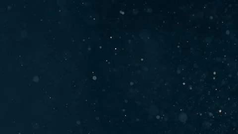 Natural Organic Dust Particles Float On Black Background. Dust In Motion. Vidéo 86782684