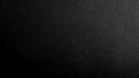 Natural Organic Dust Particles Float On Black Background. Dust In Motion. 库存影片 89837903