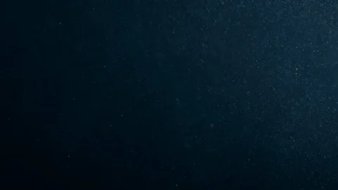 Natural Organic Dust Particles Float On Black Background. Dust In Motion. Vidéo 89876645