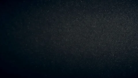 Natural Organic Dust Particles Float On Black Background. Dust In Motion. Vidéo 90535001