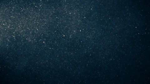 Natural Organic Dust Particles Float On Black Background. Dust In Motion. Vidéo 123321508