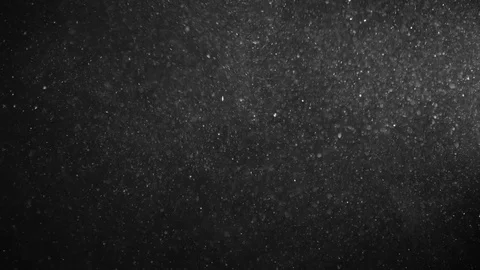 Natural Organic Dust Particles Float On Black Background. Dust In Motion. Stock Footage 123321511