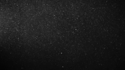 Natural Organic Dust Particles Float On Black Background. Dust In Motion. Stock Footage 123321563