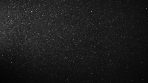 Natural Organic Dust Particles Float On Black Background. Dust In Motion. Stock Footage 123321568