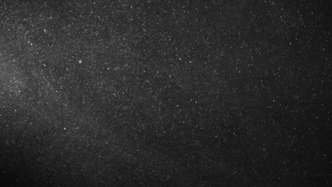 Natural Organic Dust Particles Float On Black Background. Dust In Motion. Vidéo 123321581