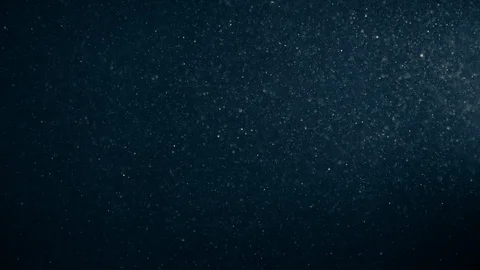 Natural Organic Dust Particles Float On Black Background. Dust In Motion. Stock-Footage 123321589