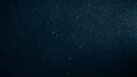Natural Organic Dust Particles Float On Black Background. Dust In Motion. Stock Footage 123321626