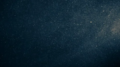 Natural Organic Dust Particles Float On Black Background. Dust In Motion. Stock Footage 123321638