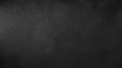 Natural Organic Dust Particles Float On Black Background. Dust In Motion. Vidéo 123321644