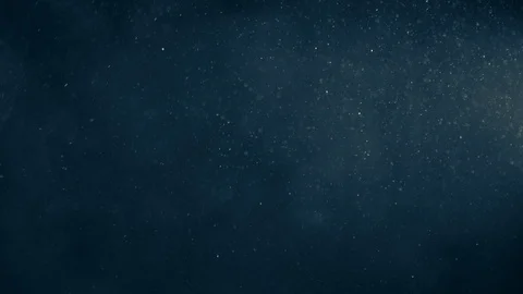 Natural Organic Dust Particles Float On Black Background. Dust In Motion. Stock Footage 123321664