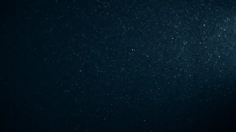 Natural Organic Dust Particles Float On Black Background. Dust In Motion. Vidéo 123325806