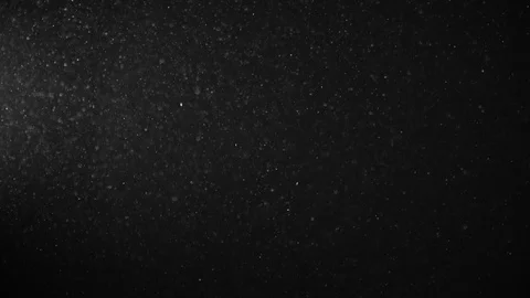 Natural Organic Dust Particles Float On Black Background. Dust In Motion. 库存影片 123325918