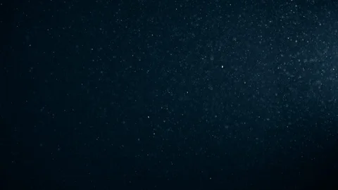 Natural Organic Dust Particles Float On Black Background. Dust In Motion. Vidéo 123325973