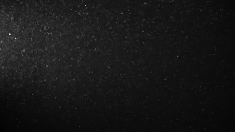 Natural Organic Dust Particles Float On Black Background. Dust In Motion. Stock Footage 123325975