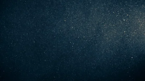 Natural Organic Dust Particles Float On Black Background. Dust In Motion. 库存影片 123327697