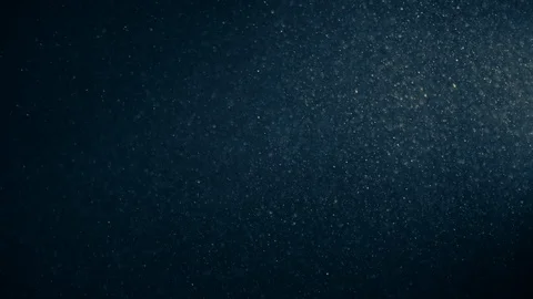 Natural Organic Dust Particles Float On Black Background. Dust In Motion. Stock Footage 123327719